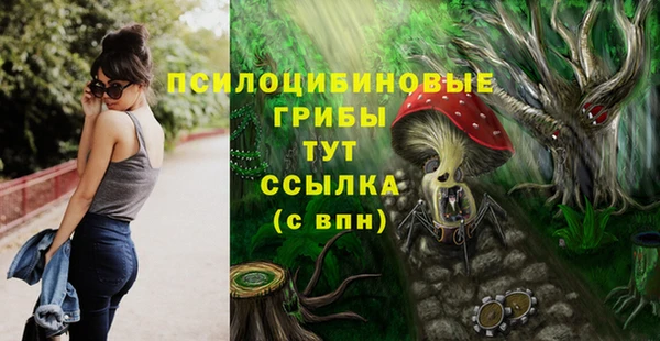 ешки Алзамай