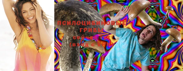 метамфетамин Алексеевка