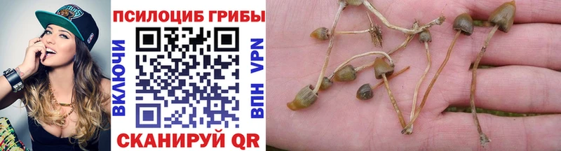 Псилоцибиновые грибы GOLDEN TEACHER Болохово