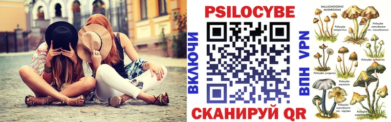 Псилоцибиновые грибы мицелий  Купить где  Болохово 